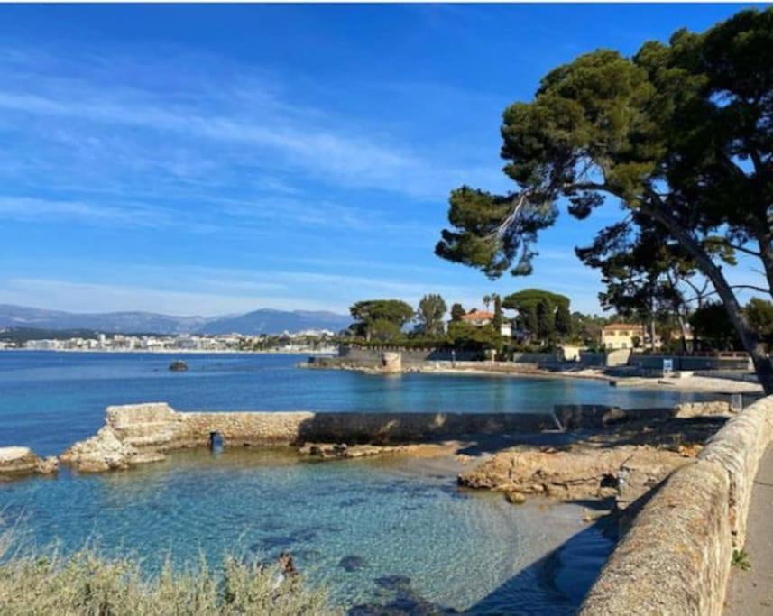 Sweet Antibes
